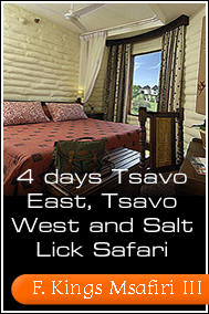 F. Kings Msafairi 3 - 4 Days Tsavo East, Tsavo WEst and Taita Hills Salt Lick Safari