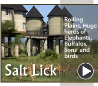 Taita Hills Salt Lick Game Sanctuary