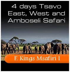 4 Days Tsavo East, West and amboslei Safari - with a bonus 1 day Mombasa City Tour - Inquire Now