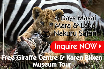 4 Days Masai Mara and Lake Nakuru safari with a free Giraffe Centre and Karen Blixen Museum Tour